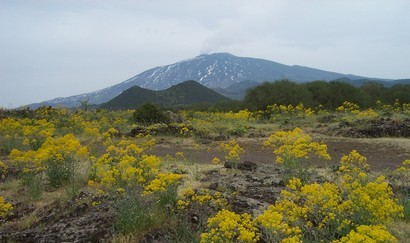 Zicht op de Etna